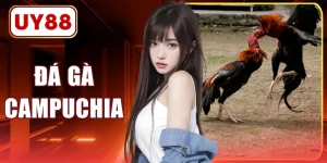 Đá Gà Campuchia - 4 Điều Cần Biết Về Đấu Trường Thomo